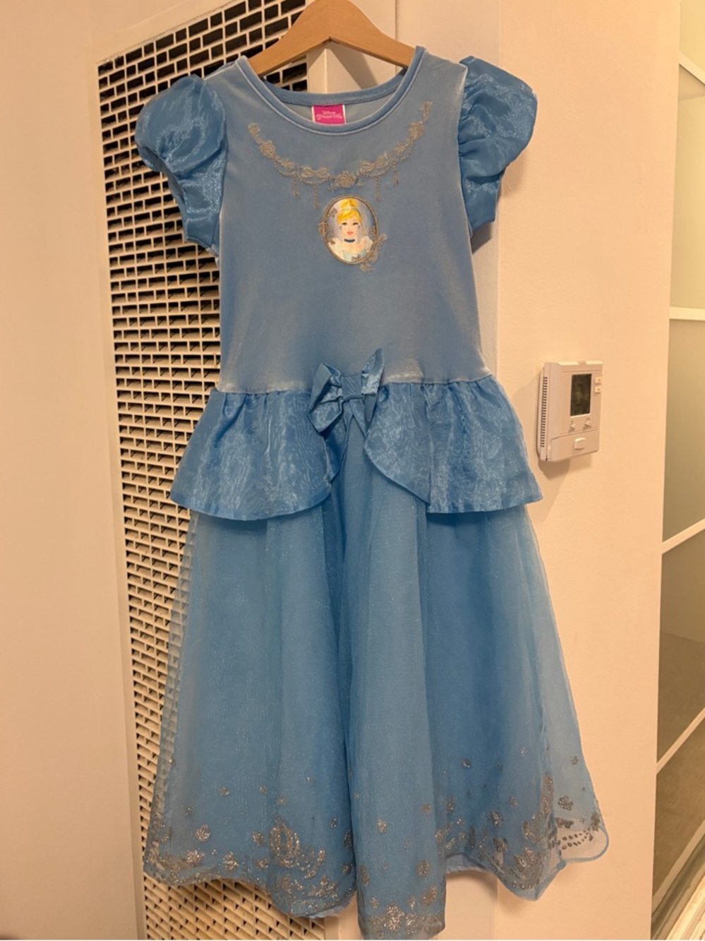 Disney Light Blue Cinderella Velvet Princess Dress